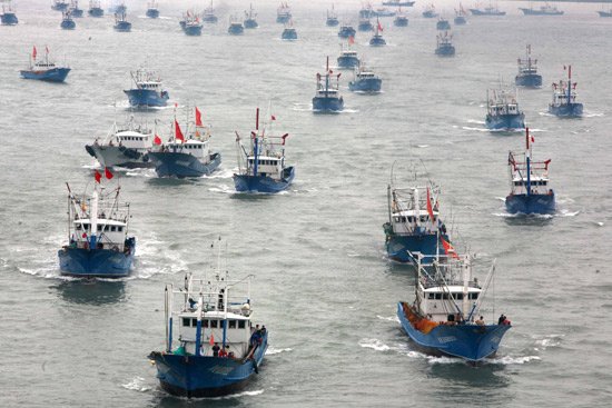 东海渔业资源几近枯竭 渔业执法被指形同虚设